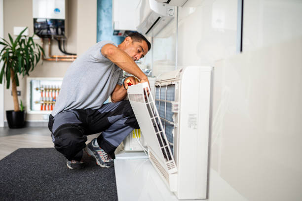 Best Duct Cleaning Specialists  in Pamplico, SC