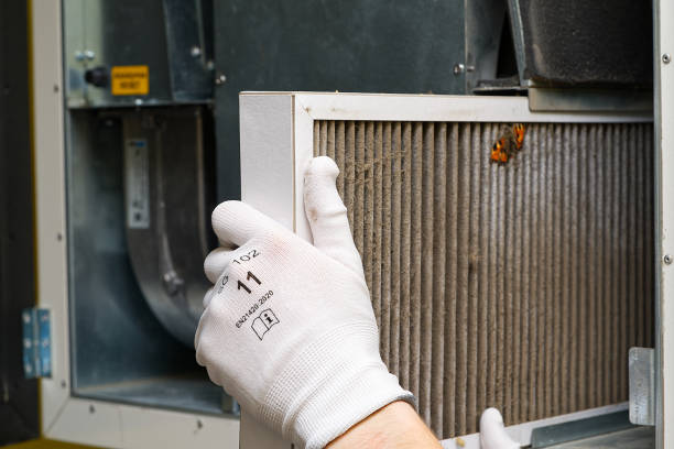 Best Air Duct Cleaning Near Me  in Pamplico, SC