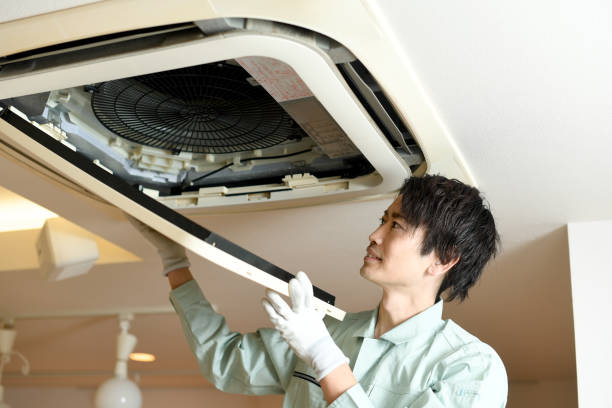Best Local Air Duct Cleaning Services  in Pamplico, SC