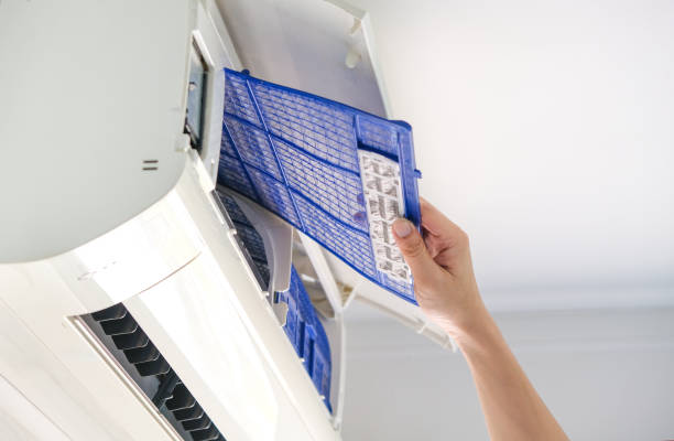 Best Air Duct Cleaning Near Me  in Pamplico, SC