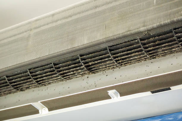 Best Air Duct Cleaning Cost  in Pamplico, SC
